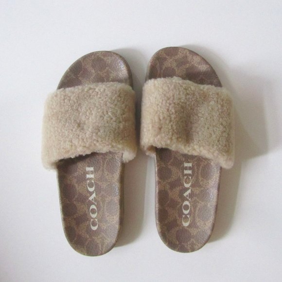 BRAND NEW IN BOX Coach Ulla Shearling Slide - W Size 7 - Picture 1 of 6